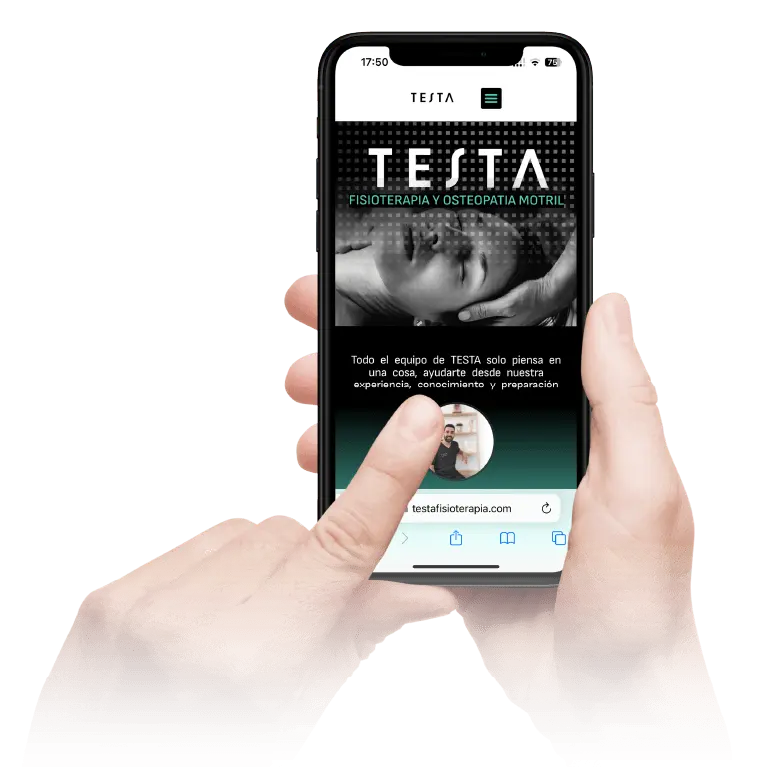 TESTA RESPONSIVE-8